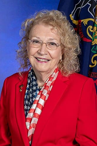 Rep. Sue Helm headshot